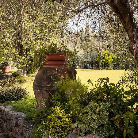 Social Garden - Sharing Hostel