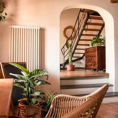 Social Garden - Sharing Hostel